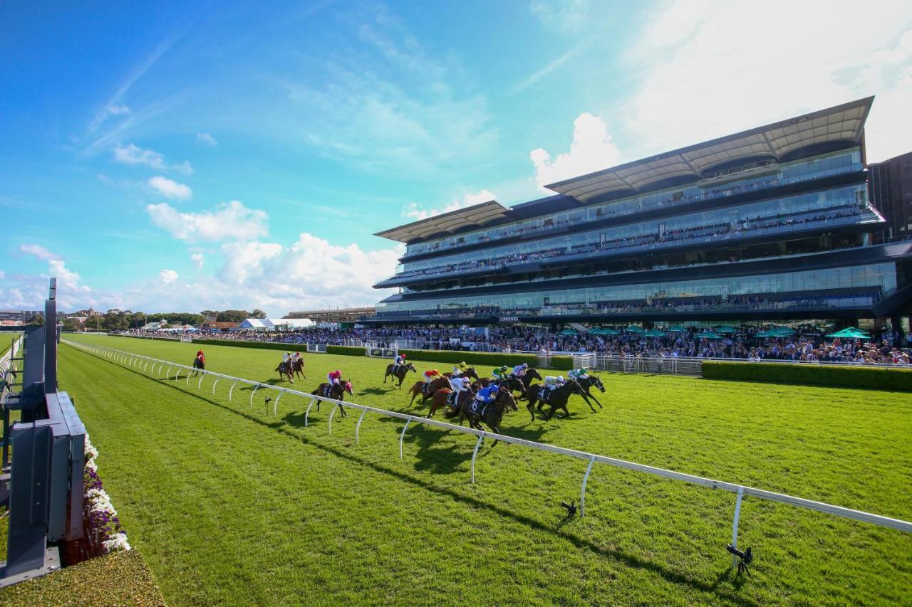 ペルーズ ランドウィック バイ シドニー ロッジズ Randwick エクステリア 写真